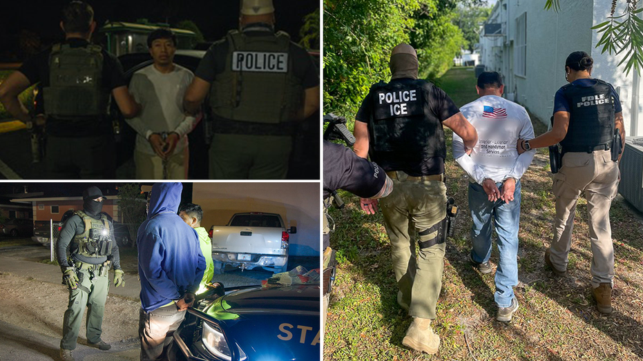 Operation Tidal Wave: 800 Illegal Immigrants Arrested in ICE and Florida Law Enforcement Joint Operation