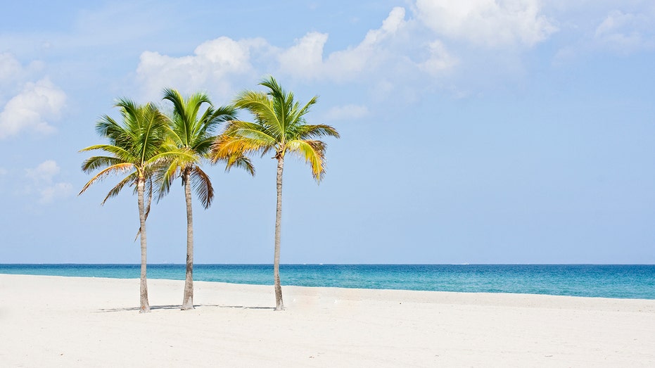 MIAMI BEACH SPRING BREAK CRIME DROPS DRAMATICALLY THANKS TO INNOVATIVE REALITY CHECK CAMPAIGN