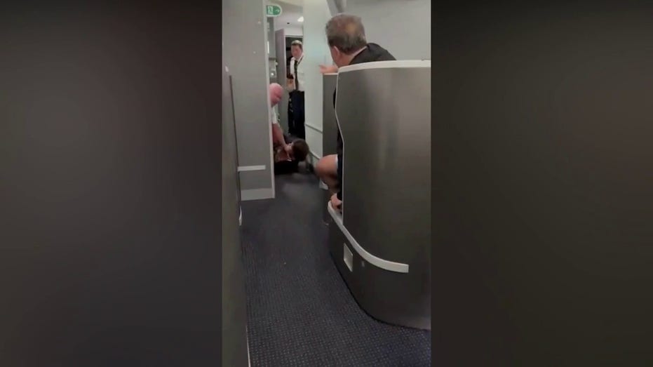 American Airlines Passenger Restrained After Attempt to Storm Cockpit on Flight from São Paulo to NYC